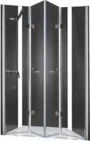 

Душевая дверь Cezares, ELENA-W-BS-22-160-C-Cr