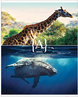 

Тетрадь ArtSpace, Стиль. Play Nature / Т96к-13715