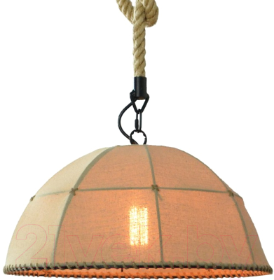 

Потолочный светильник ST Luce, Birder SLD964.503.01