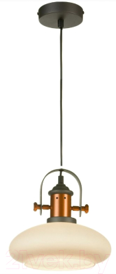 

Потолочный светильник ST Luce, Sotto SLD982.303.01