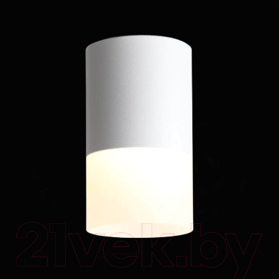 Изображение товара Потолочный светильник ST Luce Ottu ST100.502.10