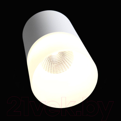 Изображение товара Потолочный светильник ST Luce Ottu ST100.502.10