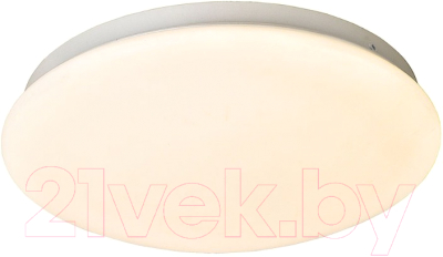 

Потолочный светильник FAVOURITE, F-promo Ledante 2468-2C