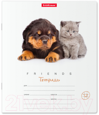 Изображение товара Тетрадь Erich Krause Дружба / 42545 (12л, клетка)
