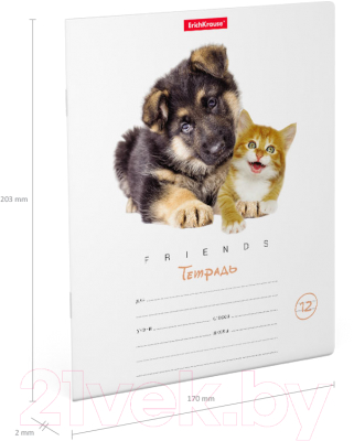 Изображение товара Тетрадь Erich Krause Дружба / 42545 (12л, клетка)