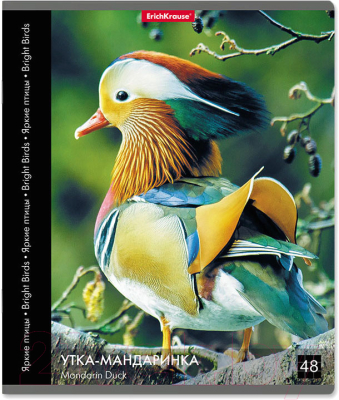 

Тетрадь Erich Krause, Яркие птицы / 49637