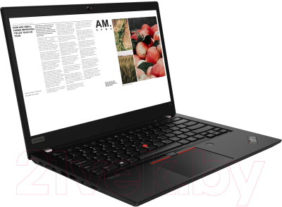 Ноутбук Lenovo ThinkPad T14 Gen 1 (20UD0010RT)