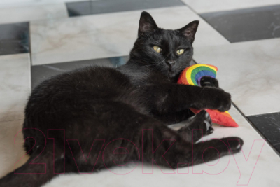 Игрушка для кошек Rosewood Радуга YEOWWW / 634292/RW (мультиколор) — фото 6