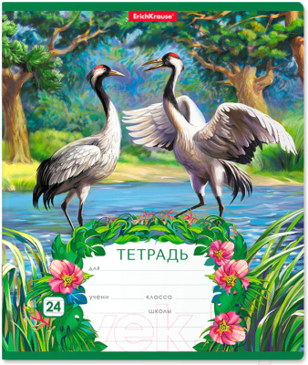 

Тетрадь Erich Krause, Экзотические птицы / 46611
