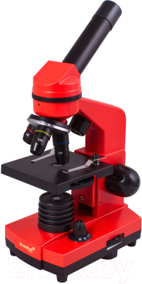 Микроскоп оптический Levenhuk Rainbow 2L / 69039 (Orange)