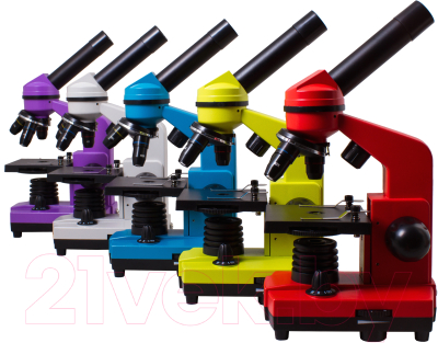 Микроскоп оптический Levenhuk Rainbow 2L / 69036 (Amethyst)