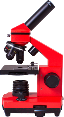 Микроскоп оптический Levenhuk Rainbow 2L Plus / 69045 (Orange)
