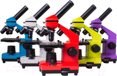 Микроскоп оптический Levenhuk Rainbow 2L Plus / 69042 (Amethyst)
