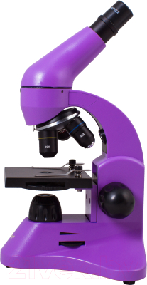 Микроскоп оптический Levenhuk Rainbow 50L / 69047 (Amethyst)