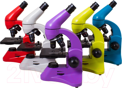 Микроскоп оптический Levenhuk Rainbow 50L Plus / 69052 (Amethyst)