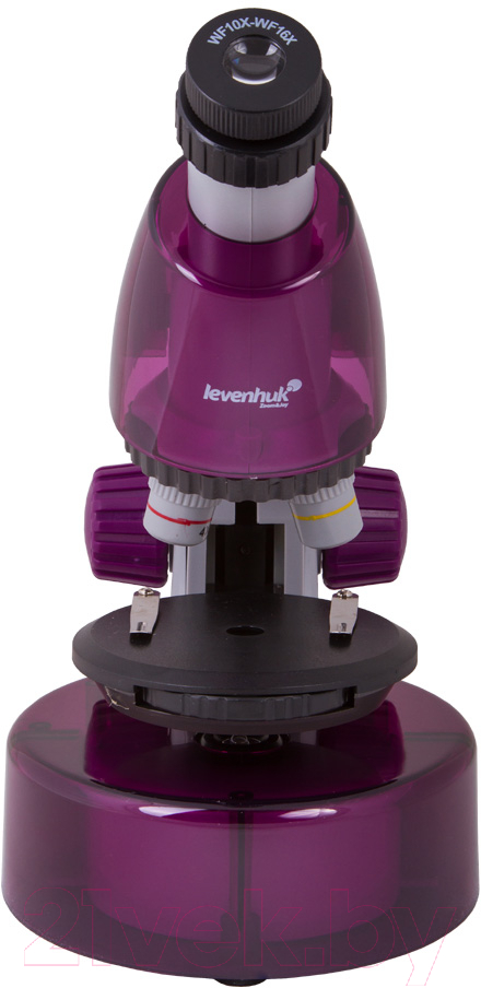 Микроскоп оптический Levenhuk LabZZ M101 / 69033 (Amethyst)