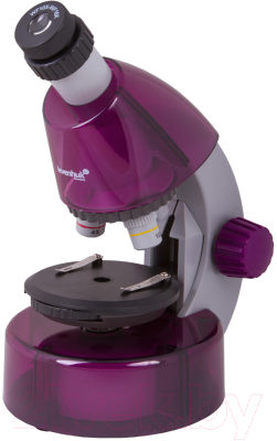 Микроскоп оптический Levenhuk LabZZ M101 / 69033 (Amethyst)