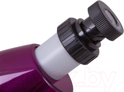 Микроскоп оптический Levenhuk LabZZ M101 / 69033 (Amethyst)