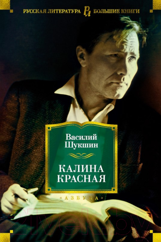 Художественная книга Азбука Калина красная (Шукшин В.) — фото 1