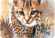 Бювар Erich Krause Wild Cat / 48600 - 
