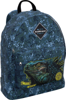 Школьный рюкзак Erich Krause EasyLine 17L Iguana / 48628 - 