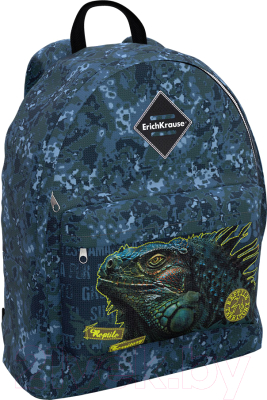 Школьный рюкзак Erich Krause EasyLine 17L Iguana / 48628