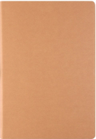 

Ежедневник Darvish, DV-9981