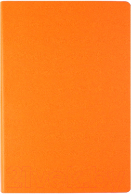 Ежедневник Darvish DV-9981 (168л, оранжевый)