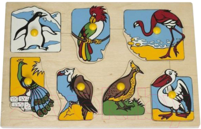 Изображение товара Развивающая игрушка ЛЭМ Рамка-вкладыш. Экзотические птицы / 1436