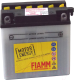 Мотоаккумулятор Fiamm FB14L-A2 / 7904450 (14 А/ч) - 