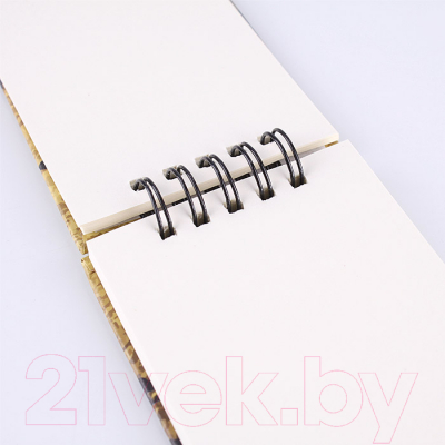 Изображение товара Блокнот Darvish На спирали / DV-12455 (80л)