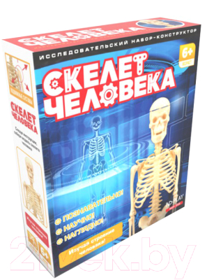 Научная игра ND Play Скелет человека / NDP-058