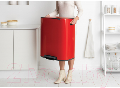 Система сортировки мусора Brabantia Bo Pedal Bin / 211522 (2x30л)