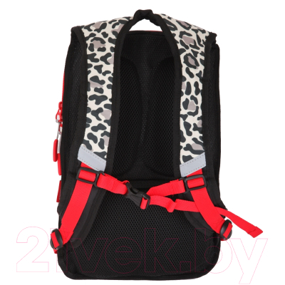 Школьный рюкзак Merlin ACR20-GL2020-1