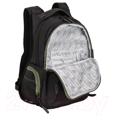 Школьный рюкзак Merlin ACR20-137-18