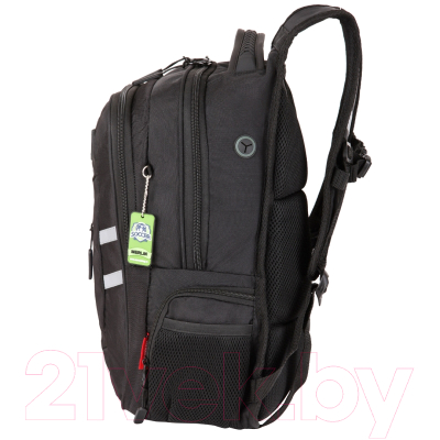 Школьный рюкзак Merlin ACR20-137-17