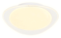 Потолочный светильник Ambrella FF44 WH 48W (белый)