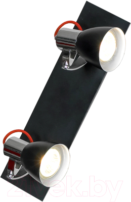 

Спот Lussole, Loft Frontino GRLSL-7401-02