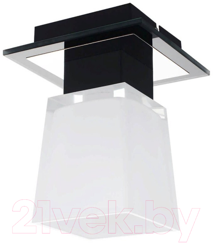 Потолочный светильник Lussole Loft Lente GRLSC-2507-01
