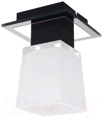 Потолочный светильник Lussole Loft Lente GRLSC-2507-01