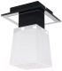 Потолочный светильник Lussole Loft Lente GRLSC-2507-01 - 