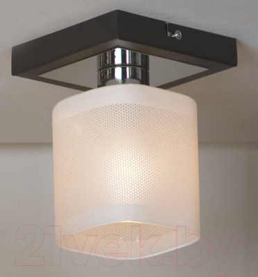 Потолочный светильник Lussole Loft Costanzo GRLSL-9007-01