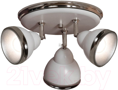 

Спот Lussole, Promo Littleton GRLSN-6211-03