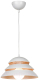 Потолочный светильник Lussole Loft Beijing GRLSP-8130 - 