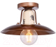 Потолочный светильник Lussole Loft Vermilion GRLSP-8161 - 