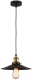 Потолочный светильник Lussole Loft New York GRLSP-9600 - 
