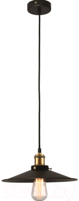 Потолочный светильник Lussole Loft New York GRLSP-9601