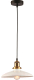 Потолочный светильник Lussole Loft Glen Cove GRLSP-9605 - 