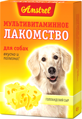 

Лакомство для собак Amstrel, Голландский сыр / 254001308