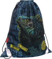 

Сумка для обуви Erich Krause, Iguana / 48665